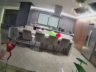 voyeurcam casa salsa fishtank
